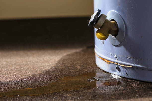 Best Basement water damage restoration  in Manassas, VA