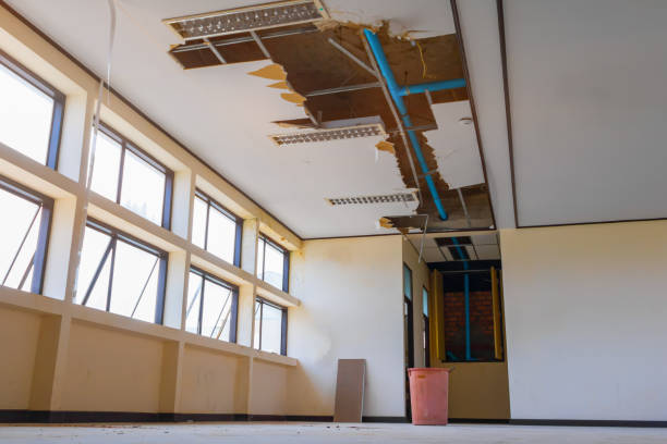 Best Professional water damage repair  in Manassas, VA