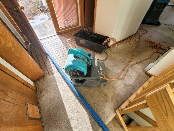 Best Water damage cleanup near me  in Manassas, VA