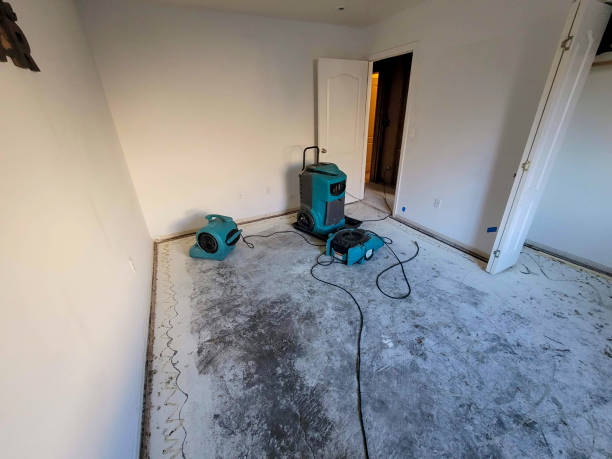 Best 24/7 water damage repair  in Manassas, VA