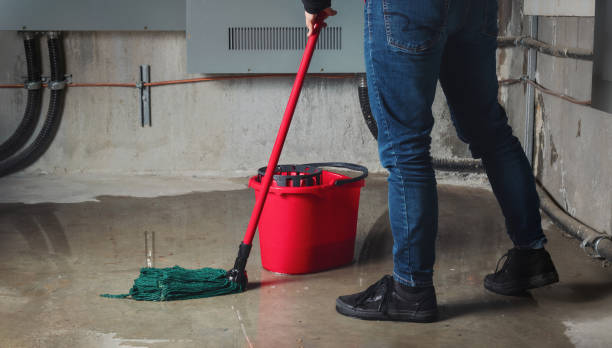 Carpet water damage restoration in VA