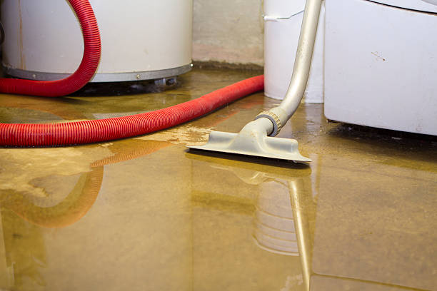 Best 24/7 water damage repair  in Manassas, VA