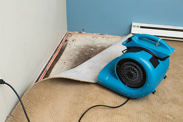  Manassas, VA Water damage restoration Pros